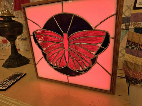 Butterfly Stan Glass   By Mitchell Cass
